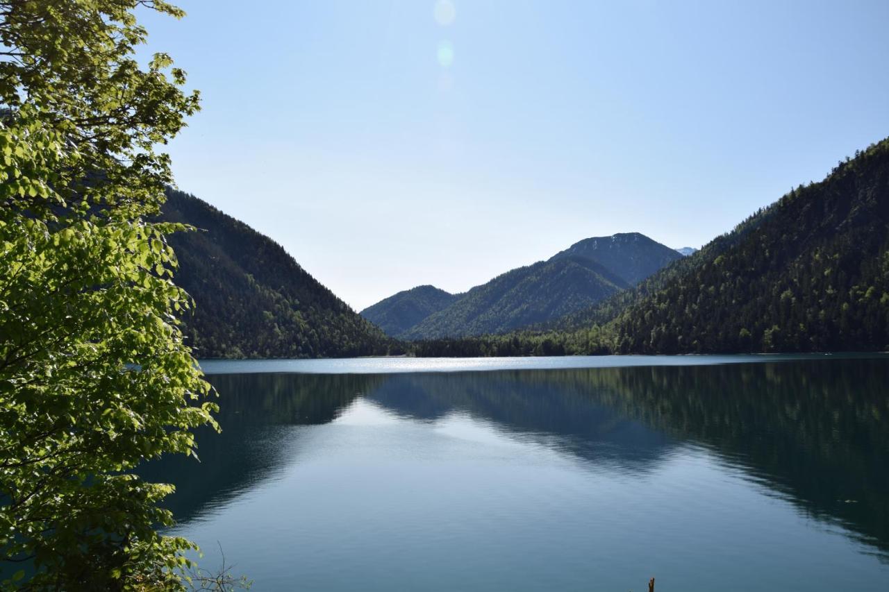 Appartement Am Plansee Eksteriør bilde